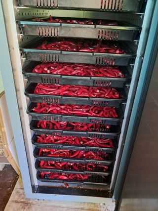 마평 농원님의 자유주제 · 자유게시판 작성글 사진