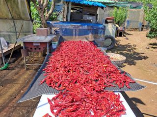 마평 농원님의 자유주제 · 자유게시판 작성글 사진