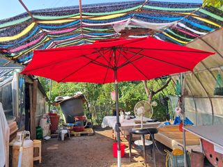 마평 농원님의 자유주제 · 자유게시판 작성글 사진