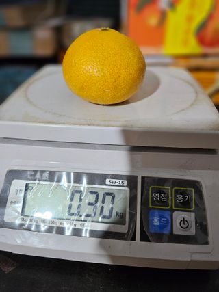 새달귤농장님의 작성글 사진