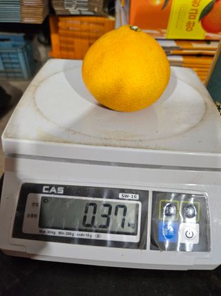 새달귤농장님의 작성글 사진