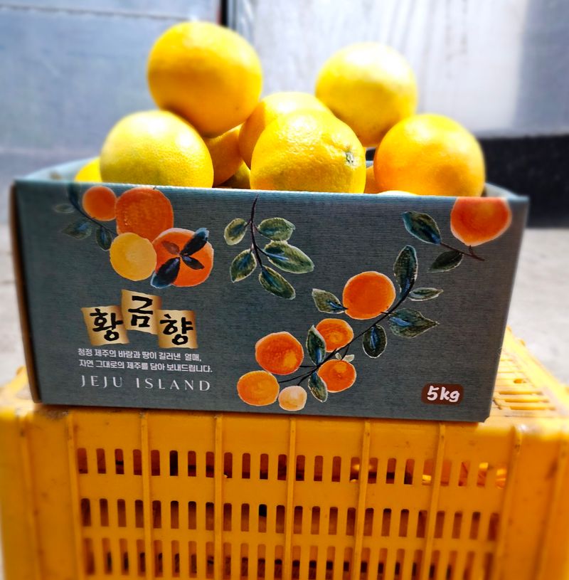 새달귤농장님의 장터 판매 상품 [1박스재고)22.000원 황금향] 첨부 사진