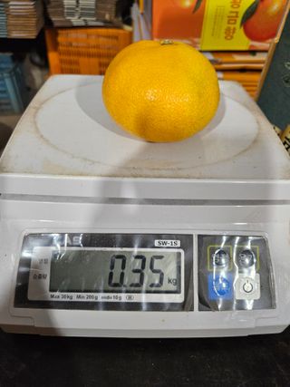 새달귤농장님의 작성글 사진