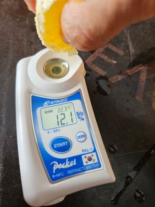 새달귤농장님의 작성글 사진