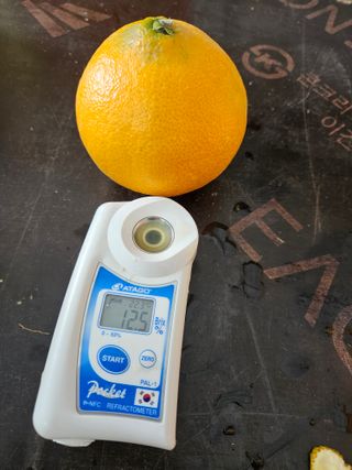 새달귤농장님의 작성글 사진