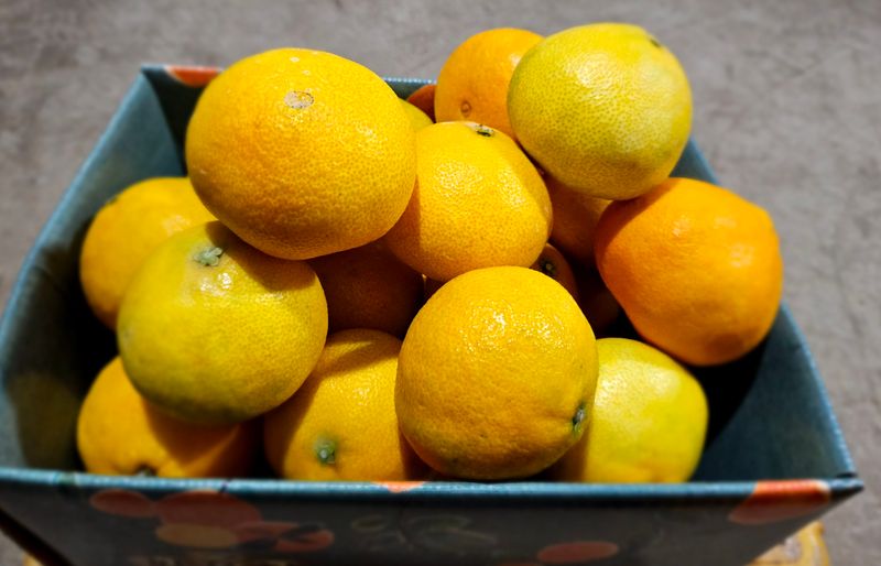 장터 상품 [1박스재고)22.000원 황금향] 썸네일