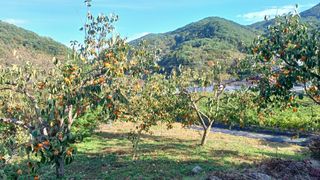 이순기님의 작성글 사진