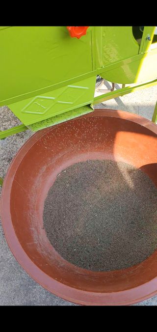 옥천서화농님의 자유주제 · 자유게시판 작성글 사진