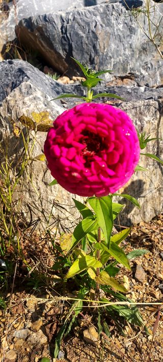 안재성님의 자유주제 · 사진전 작성글 사진