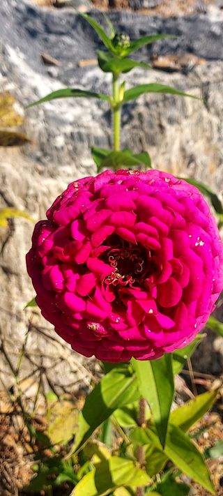 안재성님의 자유주제 · 사진전 작성글 사진