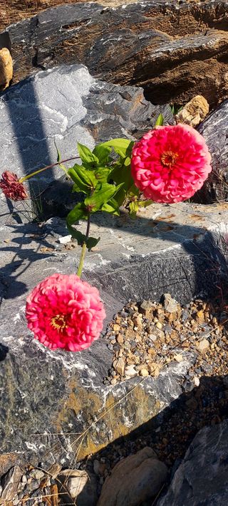 안재성님의 자유주제 · 사진전 작성글 사진