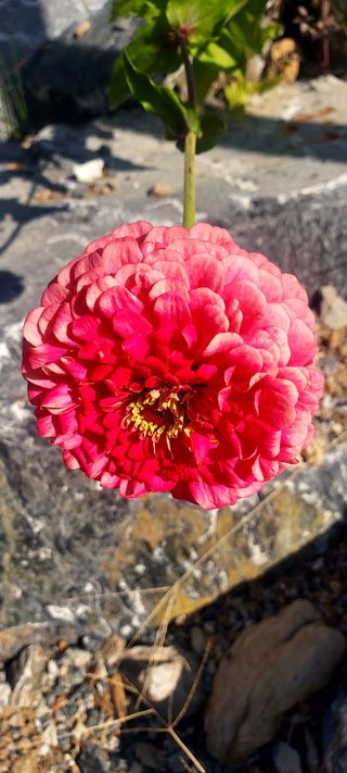 안재성님의 자유주제 · 사진전 작성글 사진