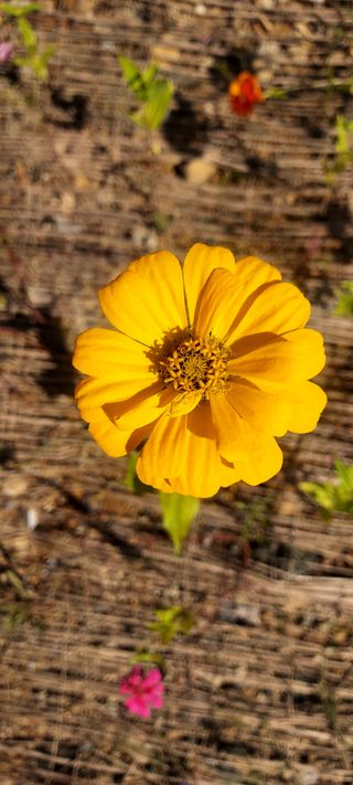 안재성님의 자유주제 · 사진전 작성글 사진