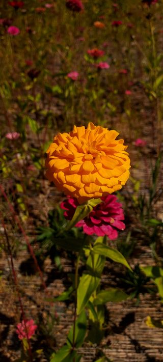 안재성님의 자유주제 · 사진전 작성글 사진