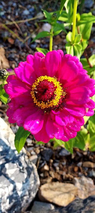 안재성님의 자유주제 · 사진전 작성글 사진