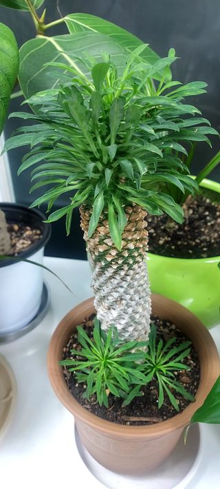 안재성님의 자유주제 · 사진전 작성글 사진