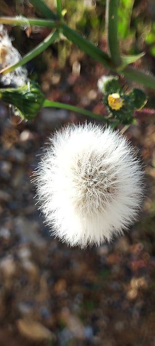 안재성님의 자유주제 · 사진전 작성글 사진