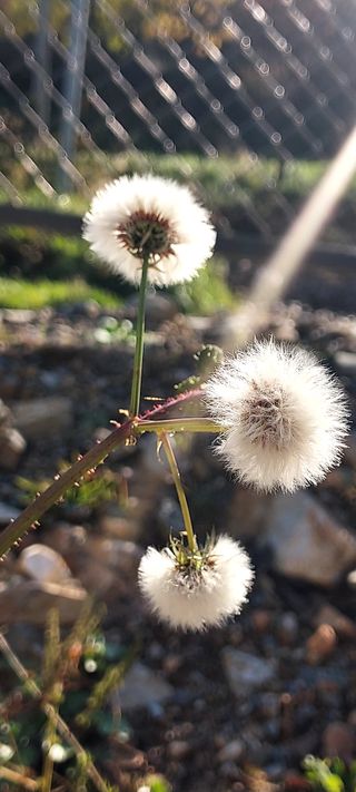 안재성님의 자유주제 · 사진전 작성글 사진