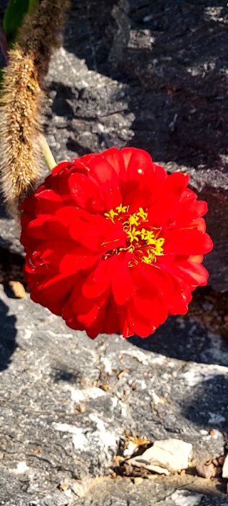 안재성님의 자유주제 · 사진전 작성글 사진