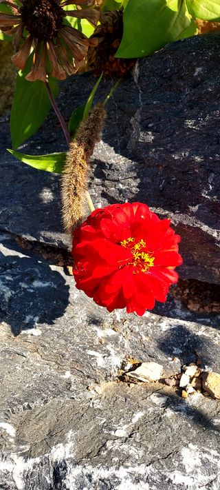 안재성님의 자유주제 · 사진전 작성글 사진