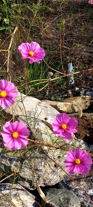 안재성님의 자유주제 · 사진전 작성글 사진