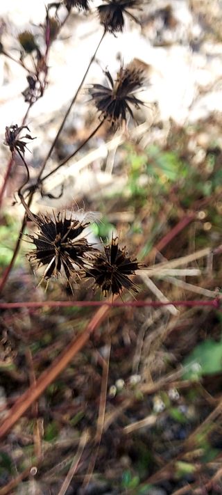 안재성님의 자유주제 · 사진전 작성글 사진