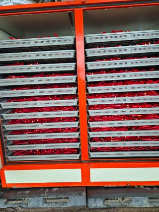 전정화님의 고추 · 영농일지 작성글 사진