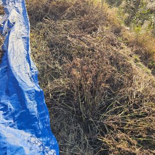 백용기님의 자유주제 · 자유게시판 작성글 사진