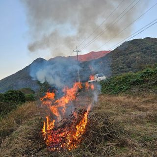 백용기님의 자유주제 · 자유게시판 작성글 사진