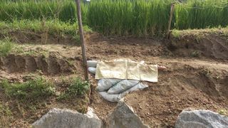 이용욱님의 팜모닝 · 출석 작성글 사진