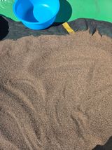 팜모닝 · 게시글 이미지