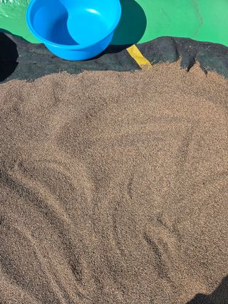 물방개(송인국)님의 작성글 사진