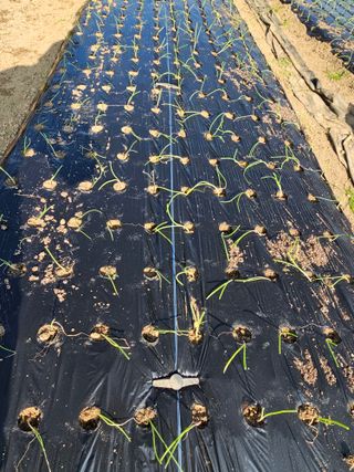 처마밑에추녀님의 자유주제 · 자유게시판 작성글 사진