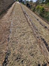 팜모닝 자유주제·자유게시판 게시글 이미지