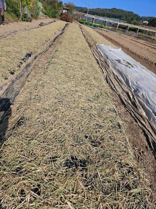 처마밑에추녀님의 자유주제 · 자유게시판 작성글 사진