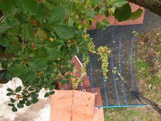 세미골곶감님의 자유주제 · 자유게시판 작성글 사진