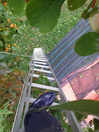 세미골곶감님의 자유주제 · 자유게시판 작성글 사진