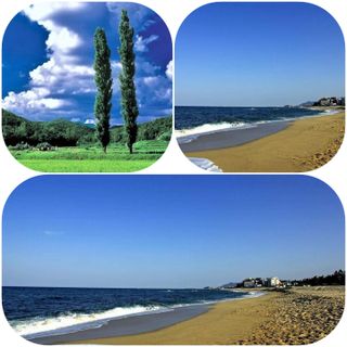 그린비님의 팜모닝 · 출석 작성글 사진