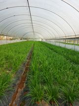 팜모닝 요즘 즐겨보는 TV 프로그램을 알려주세요·참여글 게시글 이미지