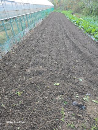 ♡청심전유삼♡님의 자유주제 · 자유게시판 작성글 사진