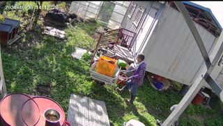 ♡청심전유삼♡님의 자유주제 · 자유게시판 작성글 사진