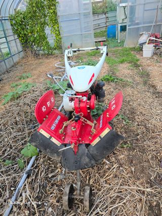 ♡청심전유삼♡님의 자유주제 · 자유게시판 작성글 사진