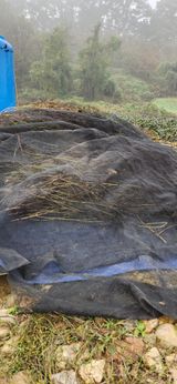 팜모닝 자유주제·자유게시판 게시글 이미지