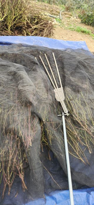 임원식님의 자유주제 · 자유게시판 작성글 사진