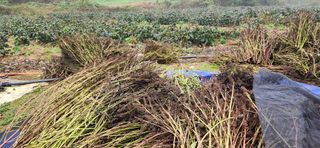 임원식님의 자유주제 · 자유게시판 작성글 사진