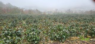 임원식님의 자유주제 · 자유게시판 작성글 사진