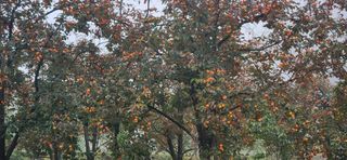 임원식님의 자유주제 · 자유게시판 작성글 사진