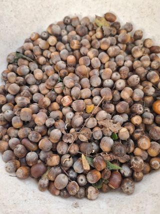 진재경님의 기타작물 · 영농일지 작성글 사진