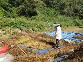 안일환님의 자유주제 · 자유게시판 작성글 사진