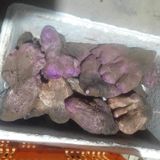 팜모닝 · 게시글 이미지